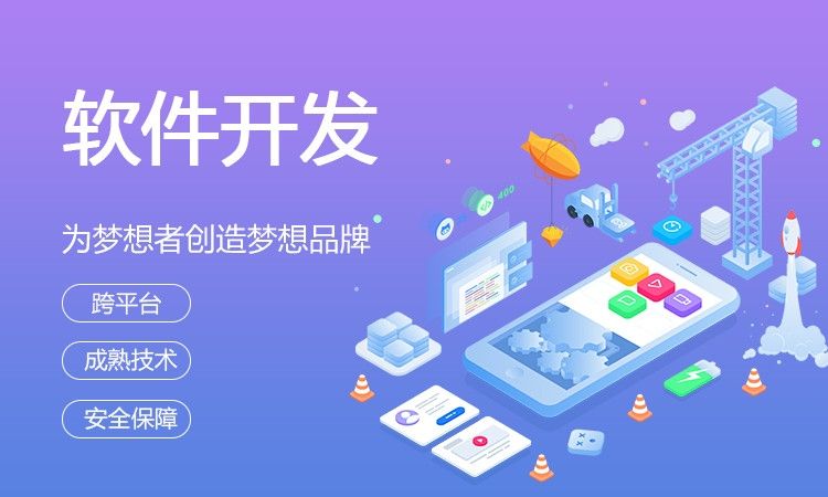 创业型企业是自主开发软件还是软件定制开发？